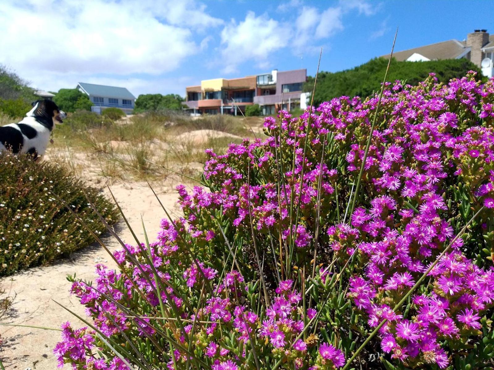 Absolute Beach Pensión Stompneusbaai Exterior foto