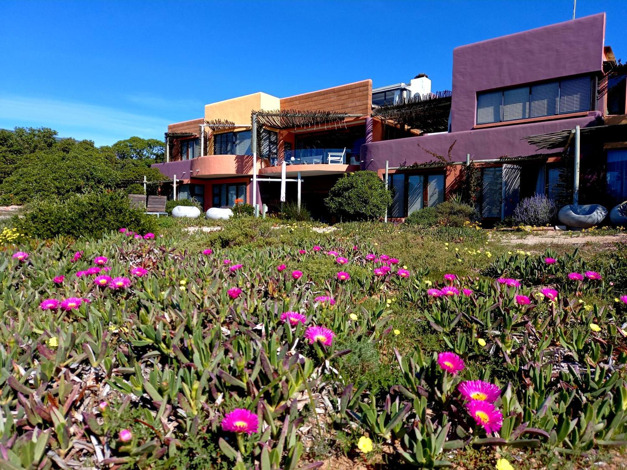 Absolute Beach Pensión Britannia Bay Exterior foto